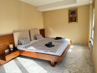 Central Historic Apartment in the Heart of Vienna - 1