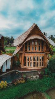 Green Lander Ubud - 3