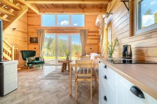 Warmia Forest - 5