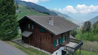 Chalet Verdure - Champéry - 3 chambres - By BDC - 1