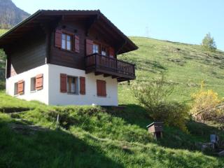 Cozy chalet in Bister near ski area - Betten - 9