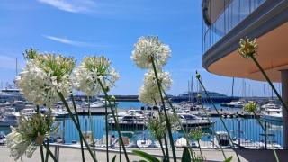 Waterfront Experience Fiera - 7