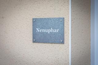 Nénuphar - Le Jardin des Plantes - 6