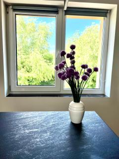 Melnragė Dunes Apartment - 5