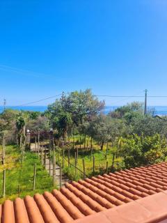 Casa vacanze a Roccella Jonica - 4