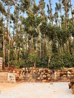 Karanji home stay - 9