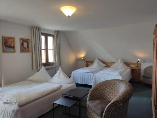 Hotel Restaurant Adler - 5