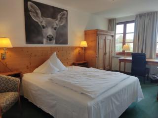 Hotel Restaurant Adler - 8