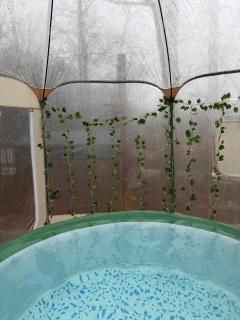 RRG Glamping Tent, Heated, Fire Pit, Hot Tub - 3