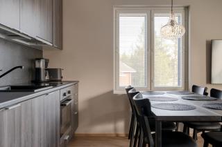 Akasentie 1 A 313 by Holiday in Lapland - 4
