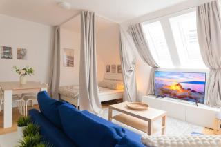Deluxe Penthouse 2-floors with Private Terrace near Prater and Center - 8