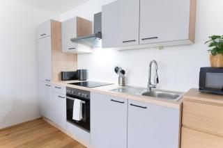Premium Penthouse 2-floors with Private Terrace near Prater and Center - 2