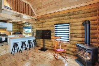 Log cabin with SPA, pool, and small beach - 1