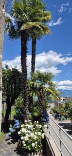 Hotel Barca Blu - 7