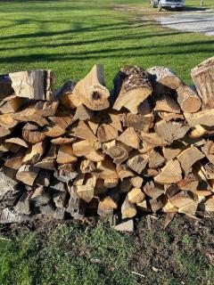 Strip Location Pet Friendly Fire Pit - 4
