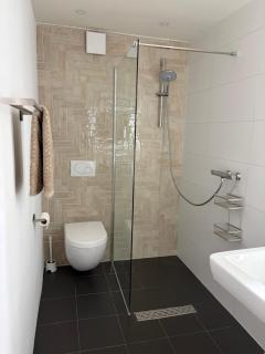 3 bedroom home in Noordwijk near the beach and close to Amsterdam - 8