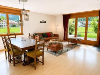 7BR Luxury Chalet near Interlaken with AC for 18 guests - 4