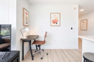 Luxury Apt Near Harvard Business & Gym - 6