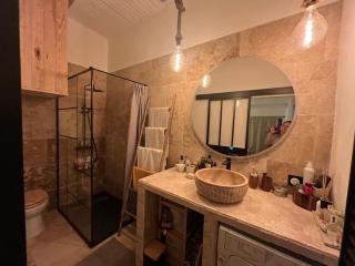 appartement T2 spa cheminée jardin piscine - 3