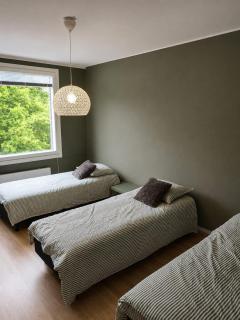 Poltinaho Apartment -Hämeenlinna - 5