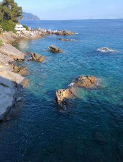 Casa mia a Nervi - 9
