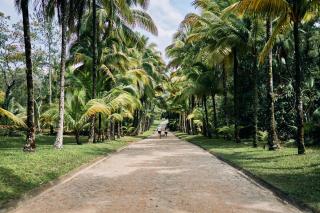 Blancaneaux Lodge by Francis Ford Coppola - 0