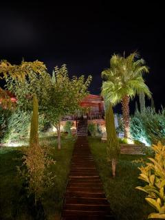 Wooden Luxury Villas - 7