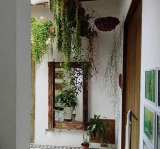 Walled City 2-bedroom 2-bath Apartment with Patio - 2