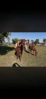 Ranch Borgo Bellavita -  - 2