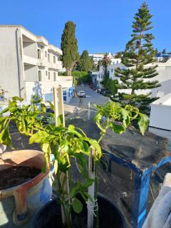 furnished 3 bedroom house - 1