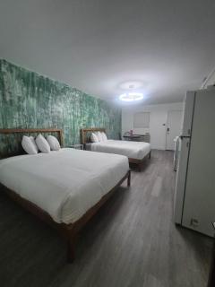 Emerald Rain @Marina Motor Lodge - 2