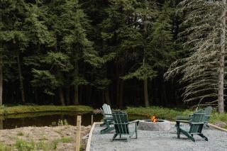 Nature's Edge - Serene Modern Cabin with Firepit & Pond - 8
