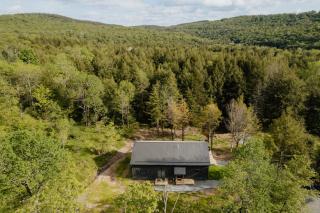 Nature's Edge - Serene Modern Cabin with Firepit & Pond - 1