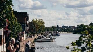 Cosy Hidden Gem in the Heart of Kingston - 5