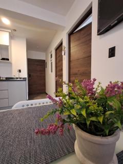 7min del Parque Central, céntrico, impecable, parqueo Apto de 2 Habitaciones - 5