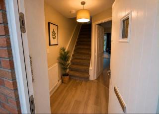 Cozy Morden Hilltop Guest house - 5