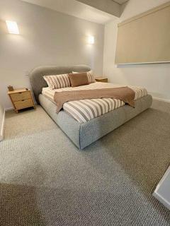 Luxury 2 BR North Ward - 5