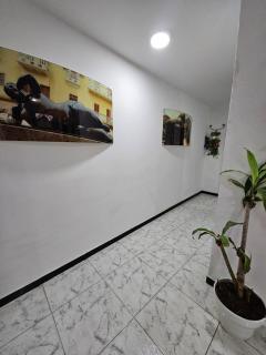Casa Arquitectónica centro de la cuidad - 4