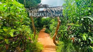 Elegant Elephant Hostel - 4