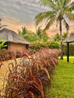 ENSO Retreat Hoi An - Rediscovery & Serenity - Hoi An - 2