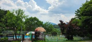 Green Bee Pension - 9