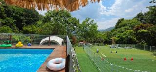 Green Bee Pension - 8