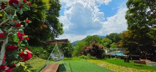 Green Bee Pension - 5