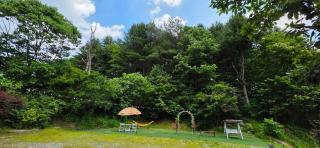 Green Bee Pension - 3