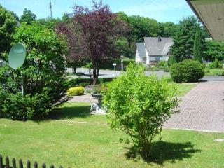 Apartment in Assinghausen with a sun terrace - Assinghausen - 3