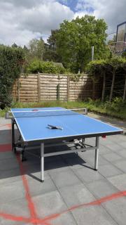 Familien-Oase mit Pool, Halfpipe & Badesee - Kemberg - 5