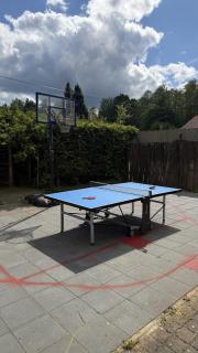 Familien-Oase mit Pool, Halfpipe & Badesee - Kemberg - 4