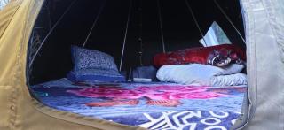 Treestays shangarh - 7