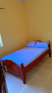 Binga villa - 3