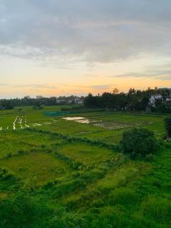 Paddy Field Home - Malabe - 8